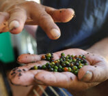 project based grants supporting community led innovation and sustainable impact by Neelan Trust
