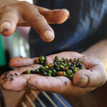 project based grants supporting community led innovation and sustainable impact by Neelan Trust